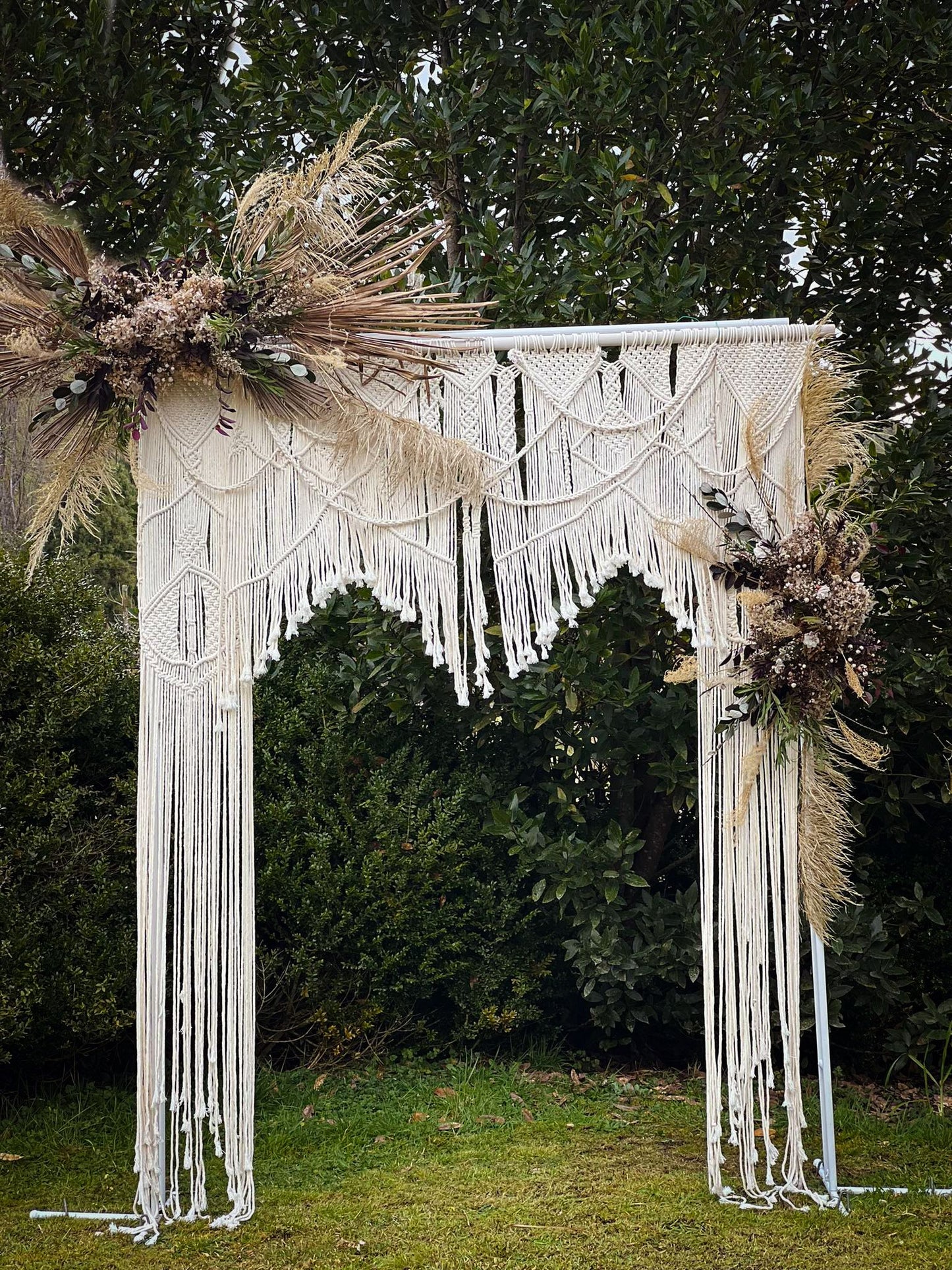 Sophia Backdrop
